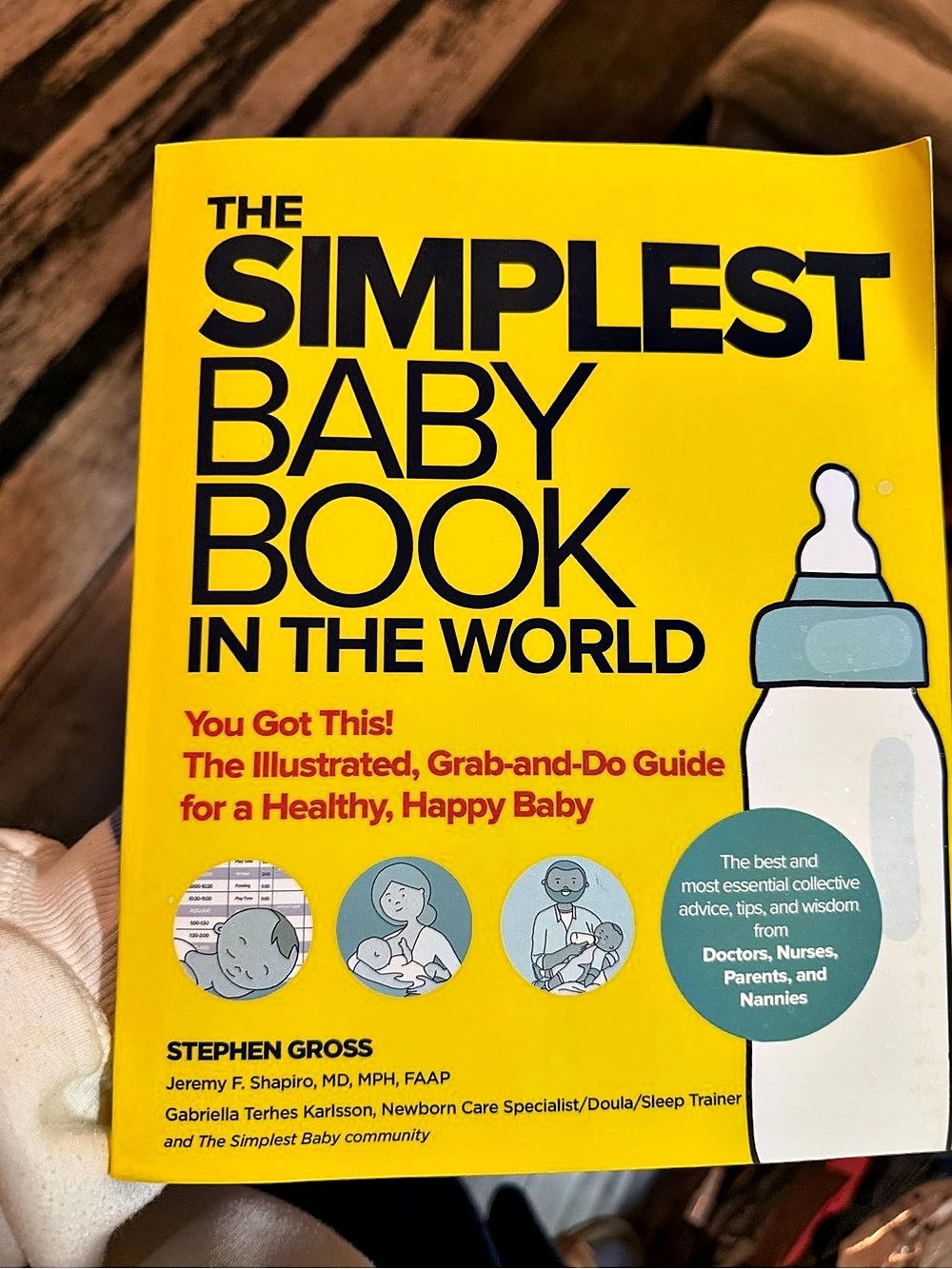 The Simplest Baby Book in the World Baby Care Guide Book